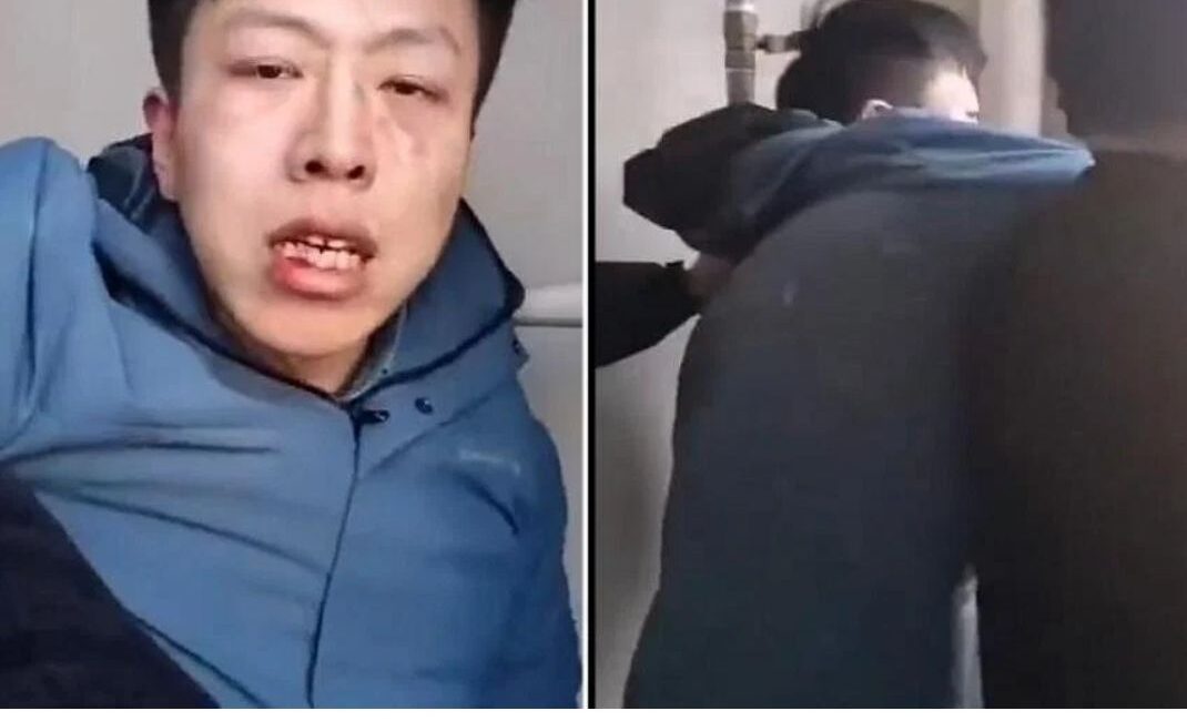 Man in China forced to eat faeces after he allegedly abused cats to death 中国男子虐待猫致死后被迫吃粪便